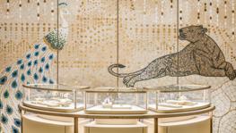 Imagen principal de la ficha